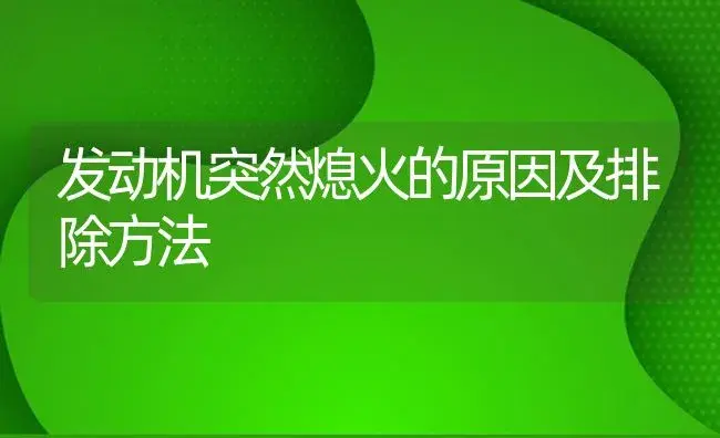 发动机突然熄火的原因及排除方法 | 农资农机