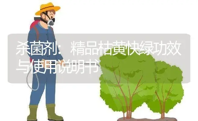 杀菌剂：精品枯黄快绿 | 适用防治对象及农作物使用方法说明书 | 植物农药