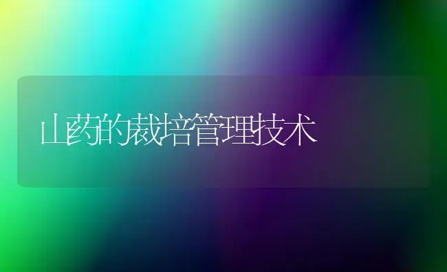 山药的裁培管理技术 | 植物农药