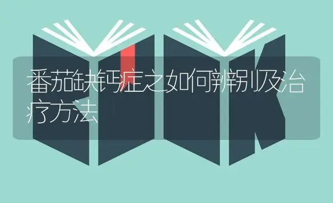 番茄缺钙症之如何辨别及治疗方法 | 蔬菜种植