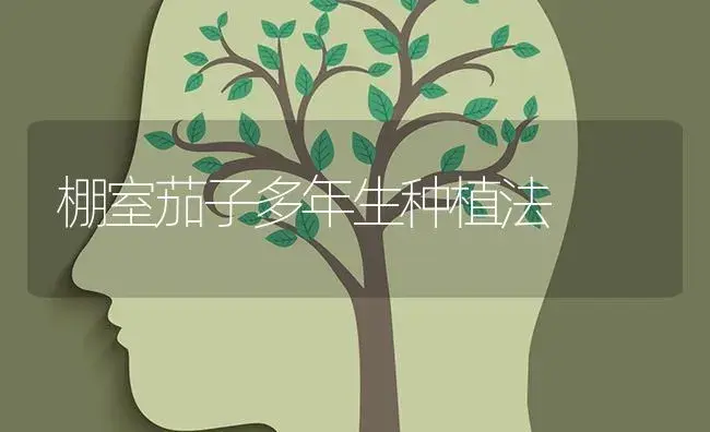 棚室茄子多年生种植法 | 蔬菜种植