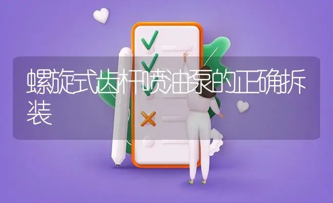 螺旋式齿杆喷油泵的正确拆装 | 农资农机
