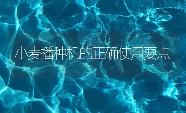 小麦播种机的正确使用要点 | 农资农机