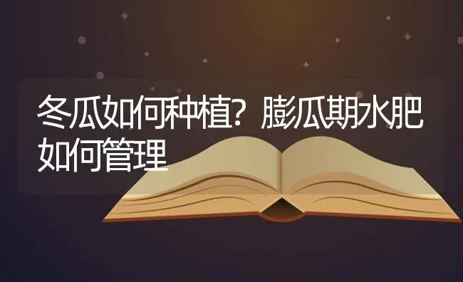 冬瓜如何种植？膨瓜期水肥如何管理 | 蔬菜种植