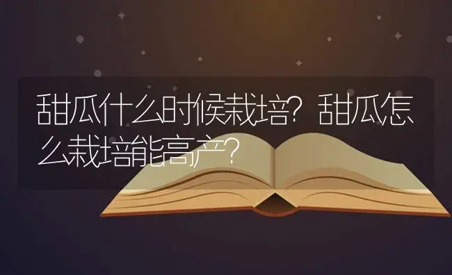 甜瓜什么时候栽培？甜瓜怎么栽培能高产？ | 蔬菜种植