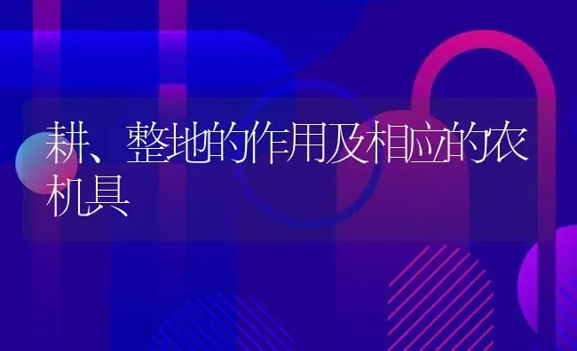 耕、整地的作用及相应的农机具 | 农资农机