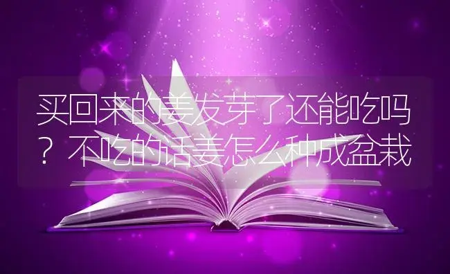 买回来的姜发芽了还能吃吗？不吃的话姜怎么种成盆栽 | 蔬菜种植