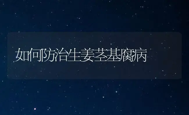 如何防治生姜茎基腐病 | 植物病虫害