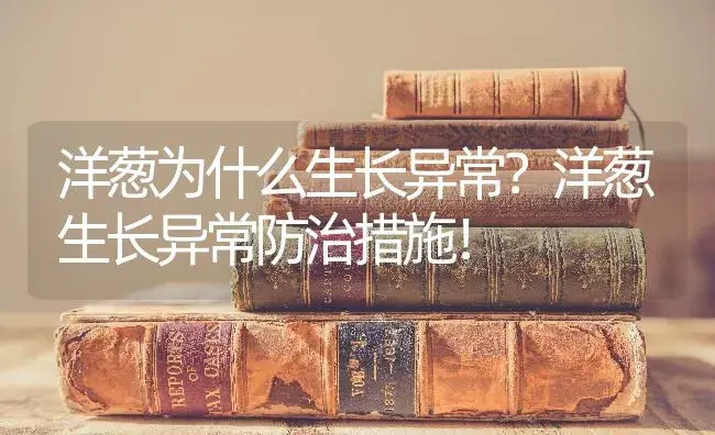 洋葱为什么生长异常？洋葱生长异常防治措施！ | 蔬菜种植