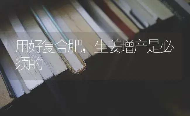 用好复合肥，生姜增产是必须的 | 蔬菜种植