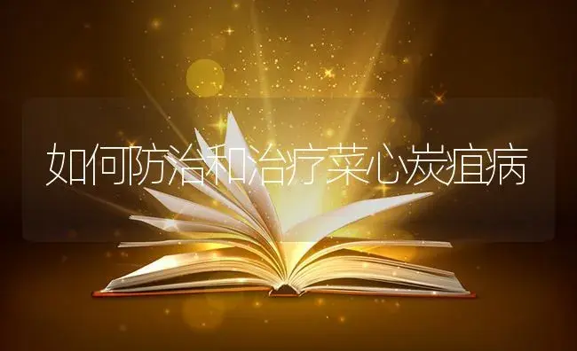 茄子小地老虎该怎么防治 | 蔬菜种植