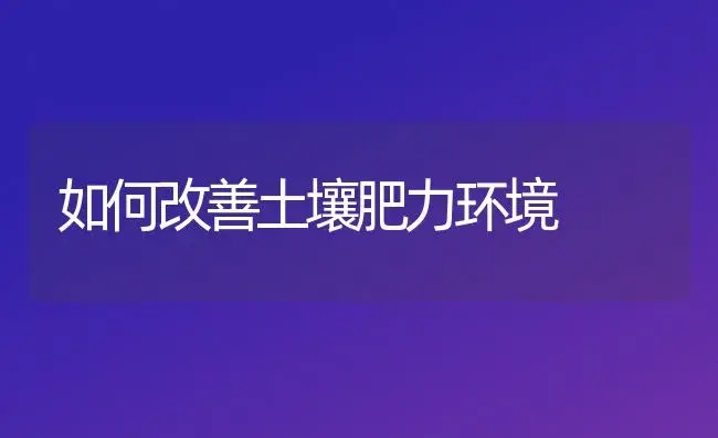 如何改善土壤肥力环境 | 植物肥料