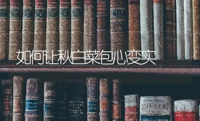 如何让秋白菜包心变实 | 蔬菜种植