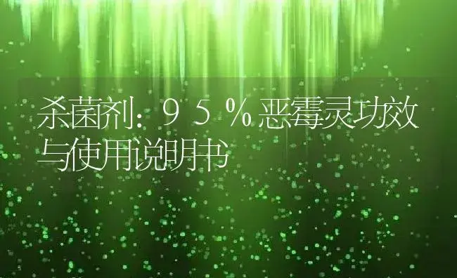 杀菌剂：95%恶霉灵 | 适用防治对象及农作物使用方法说明书 | 植物农药