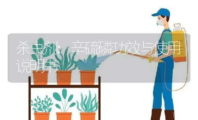 杀虫剂：辛硫磷 | 适用防治对象及农作物使用方法说明书 | 植物农药