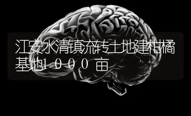 江安水清镇流转土地建柑橘基地1000亩 | 蔬菜种植