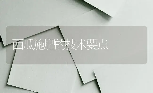 西瓜施肥的技术要点 | 蔬菜种植