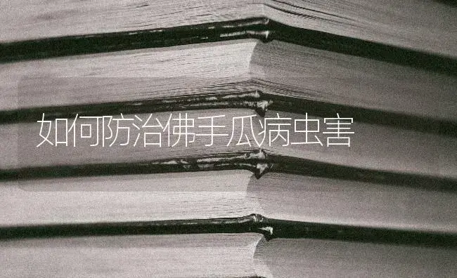 如何防治佛手瓜病虫害 | 蔬菜种植