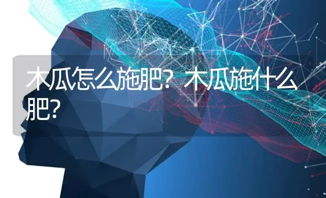 木瓜怎么施肥？木瓜施什么肥？ | 蔬菜种植