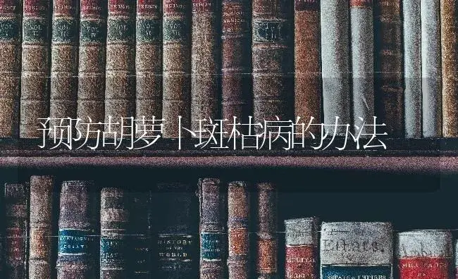 预防胡萝卜斑枯病的办法 | 蔬菜种植