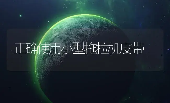 正确使用小型拖拉机皮带 | 农资农机