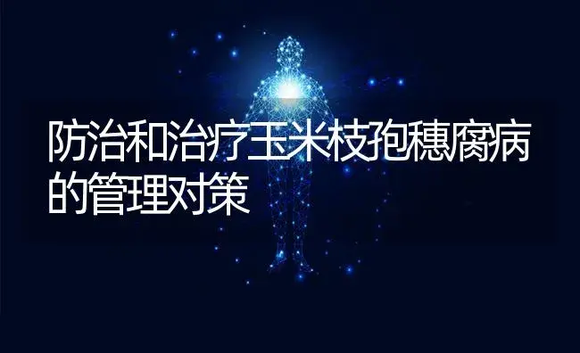 防治和治疗玉米枝孢穗腐病的管理对策 | 蔬菜种植