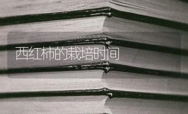 西红柿的栽培时间 | 蔬菜种植