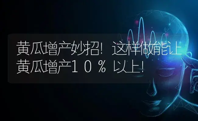 黄瓜增产妙招！这样做能让黄瓜增产10%以上！ | 蔬菜种植