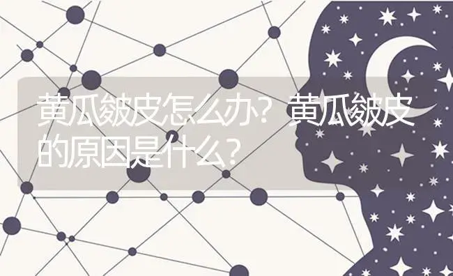 黄瓜皴皮怎么办？黄瓜皴皮的原因是什么？ | 蔬菜种植