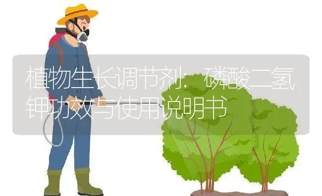 植物生长调节剂：磷酸二氢钾 | 适用防治对象及农作物使用方法说明书 | 植物农药