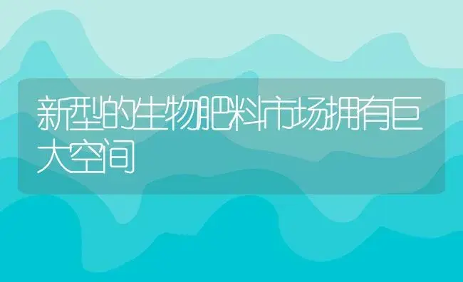 新型的生物肥料市场拥有巨大空间 | 植物肥料