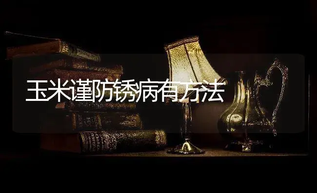 玉米谨防锈病有方法 | 蔬菜种植