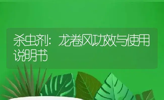 杀虫剂：龙卷风 | 适用防治对象及农作物使用方法说明书 | 植物农药