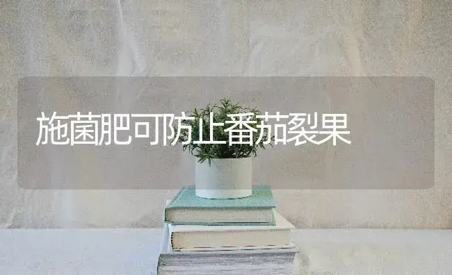 温室西葫芦肥水管理方法 | 蔬菜种植