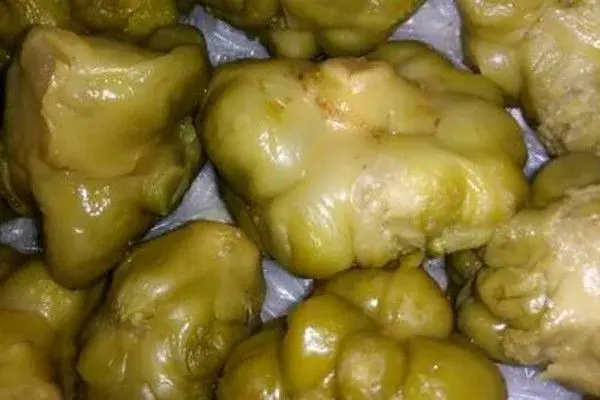 榨菜适合什么地方种植？有哪些栽培要点？