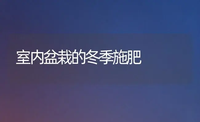 室内盆栽的冬季施肥 | 植物肥料