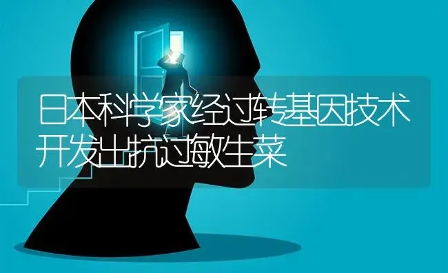 日本科学家经过转基因技术开发出抗过敏生菜 | 蔬菜种植