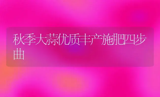 秋季大蒜优质丰产施肥四步曲 | 植物肥料