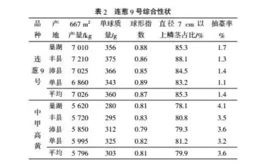 连葱9号洋葱配套种植技术