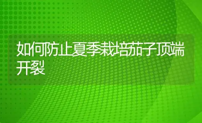 如何防止夏季栽培茄子顶端开裂 | 植物病虫害