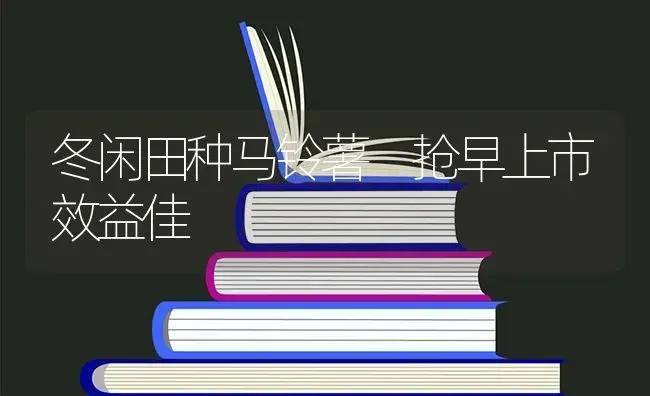 冬闲田种马铃薯 抢早上市效益佳 | 蔬菜种植
