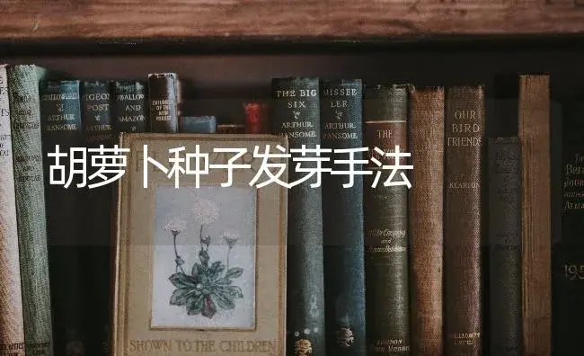 胡萝卜种子发芽手法 | 蔬菜种植