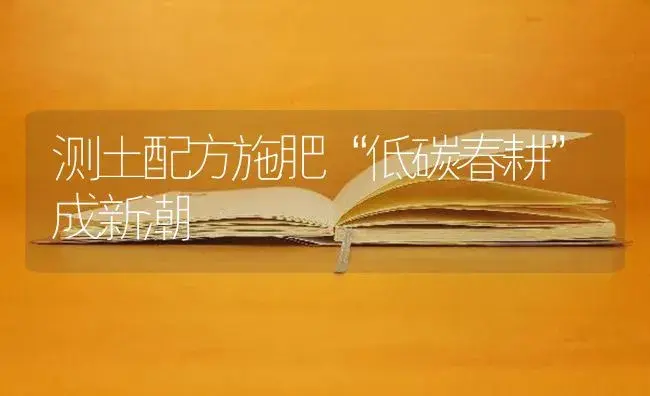 测土配方施肥“低碳春耕”成新潮 | 蔬菜种植