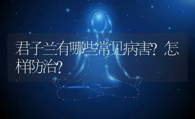 君子兰有哪些常见病害？怎样防治？ | 植物病虫害