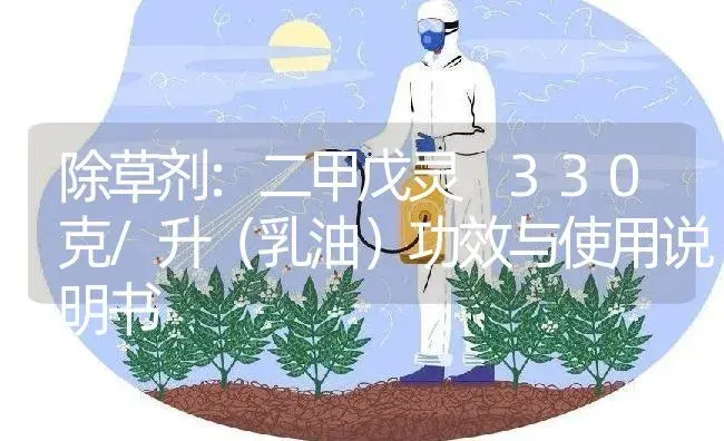 除草剂：二甲戊灵 330克/升（乳油） | 适用防治对象及农作物使用方法说明书 | 植物农药