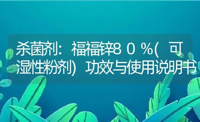 杀菌剂：福福锌80%(可湿性粉剂) | 适用防治对象及农作物使用方法说明书 | 植物农药