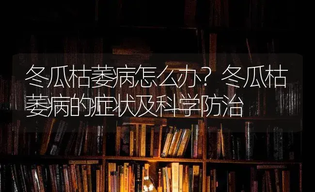 冬瓜枯萎病怎么办？冬瓜枯萎病的症状及科学防治 | 蔬菜种植