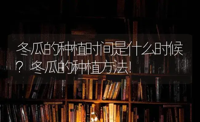 冬瓜的种植时间是什么时候？冬瓜的种植方法！ | 蔬菜种植