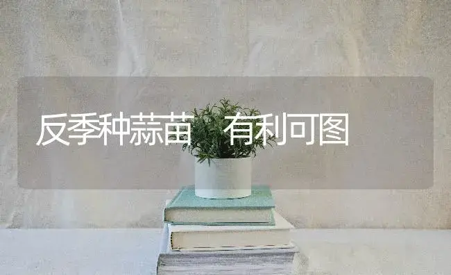 反季种蒜苗 有利可图 | 蔬菜种植