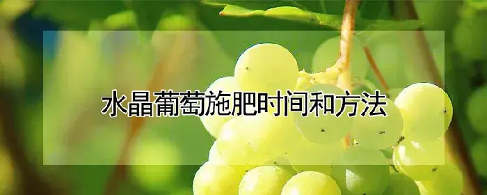 水晶葡萄施肥时间和方法